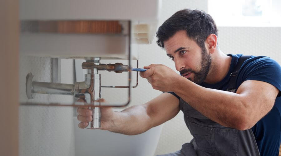 Trap Repair/Replacement in Henriette, MN